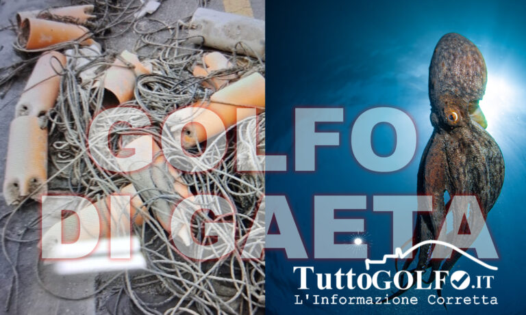 COPAGRI: NEL GOLFO DI GAETA DRASTICA DIMINUZIONE DEI POLPI