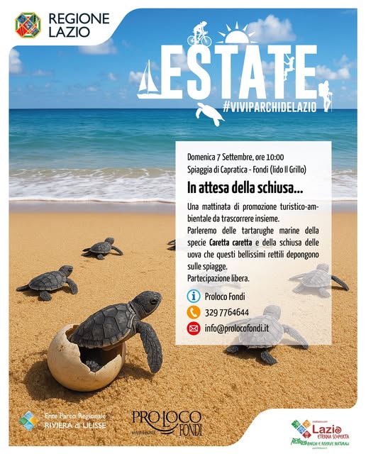 Fondi: Caretta Caretta a Capratica: natura, conservazione e turismo sostenibile