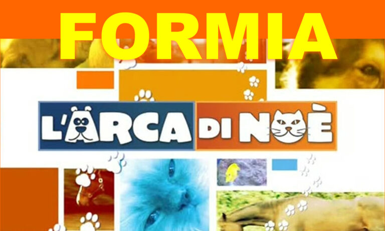 Formia torna sulle TV nazionali: domenica 23 novembre l’Arca di Noè dedica una puntata speciale al “Pitalife Best in Show”, evento svoltosi al Parco De Curtis di Gianola