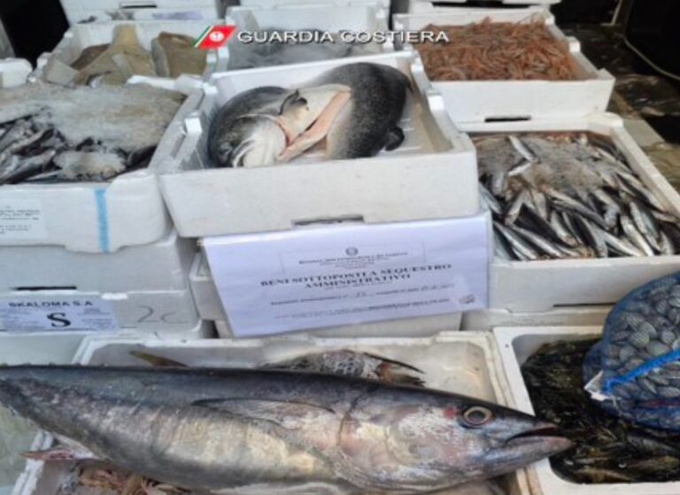 SEQUESTRATI CIRCA 200 KG DI PRODOTTI ITTICI