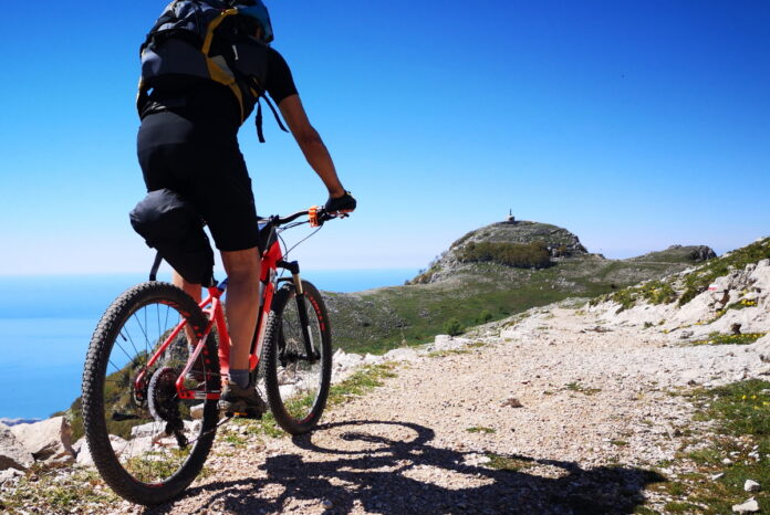 monti aurunci riforestazione