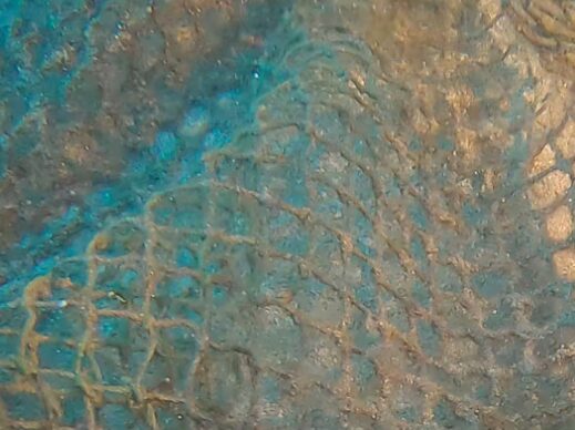 DAL MARE ALL’ENERGIA – LE RETI FANTASMA DIVENTANO RISORSA