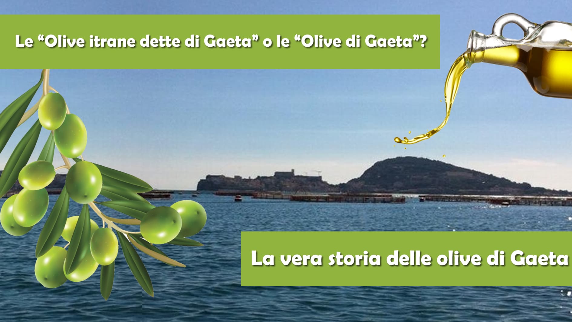 le Olive Itrane dette di Gaeta, o le Olive di Gaeta?