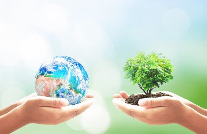 Giornate ecologiche, domenica l'ottavo appuntamento in via Olivastro Spaventola
