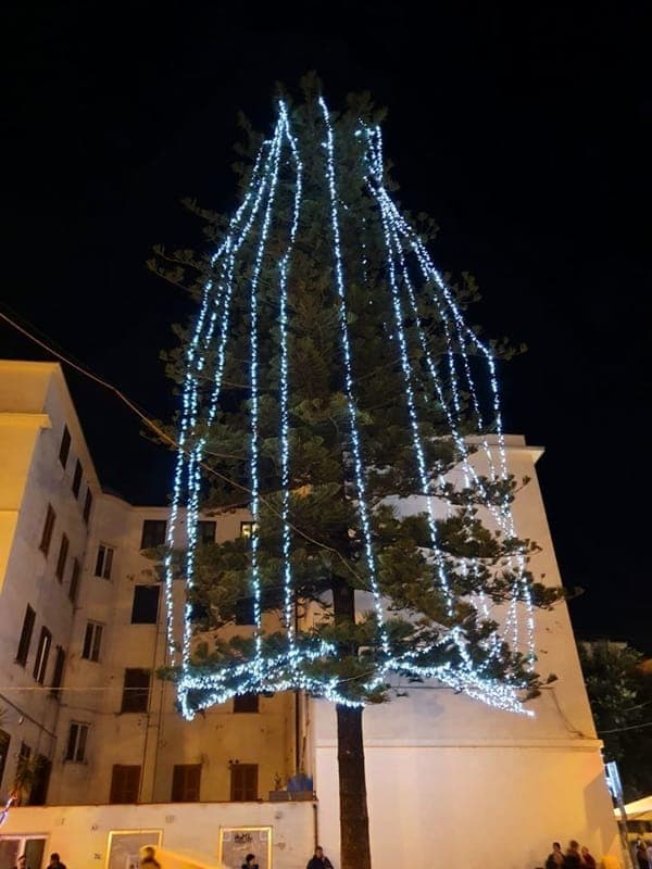 Il natale green di Formia e l'albero di 30 metri ad energia solare