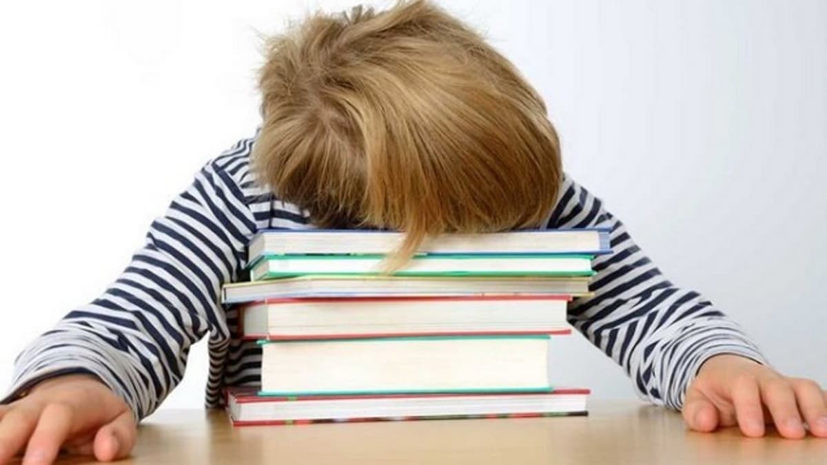 LETTERA APERTA SCRITTA DA UN PAPÀ... AL MINISTRO DELL’ISTRUZIONE ON. LUCIA AZZOLINA