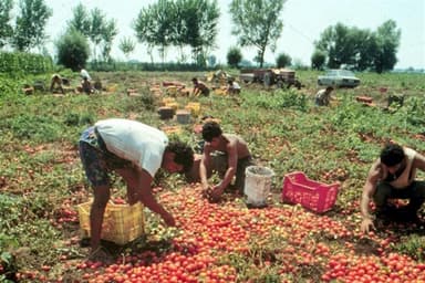Caldo, Cgil: Regione Lazio proroghi l’ordinanza oltre il 15 settembre