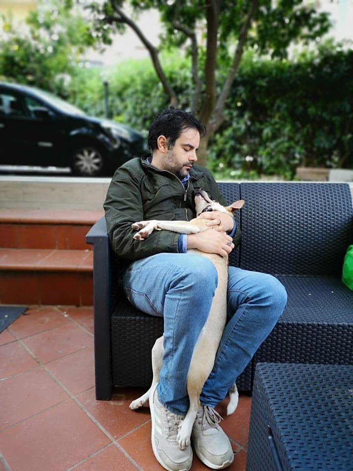 STORIE, STEMMI E PALAZZI DELLE FAMIGLIE PRESENTI A FORMIA