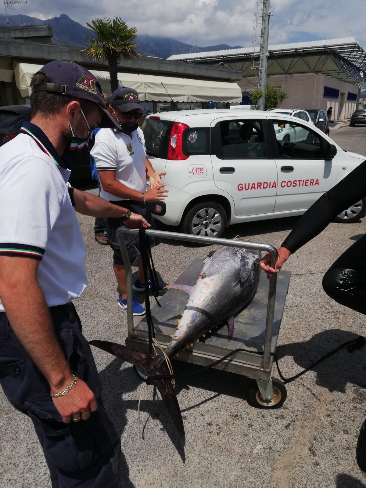 GUARDIA COSTIERA SEQUESTRA PESCA ILLEGALE NEL PORTO DI FORMIA