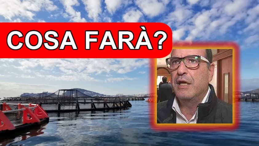 LANCIATA LA PETIZIONE PER CHIEDERE A GAETA DI NON RINNOVARE LE CONCESSIONI PER L'ACQUACOLTURA