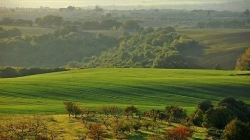 La Campagna Romana, una nuova mappa ambiente - città oggi alle 17.00 conferenza virtuale