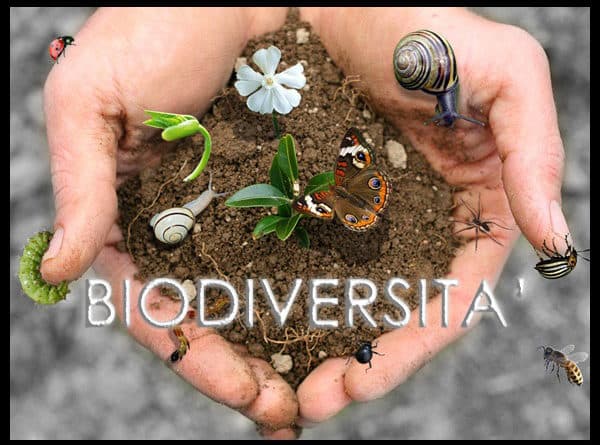 Biodiversità: Italia Nostra Lazio condivide l'appello Lipu al premier Draghi e al ministro Cingolani