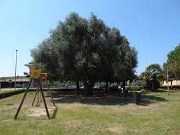 Minturno: Fratelli d'Italia chiede il destino del finanziamento per Parco Fontana Perrelli