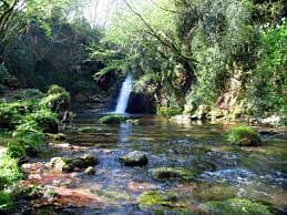 Lazio: Italia Nostra ricorre al TAR contro il taglio bosco delle Lucinette nel Parco dei Simbruini