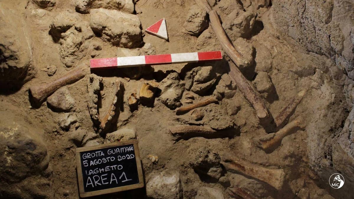 Reperti di Neanderthal: Un motivo in più per visitare il territorio pontino