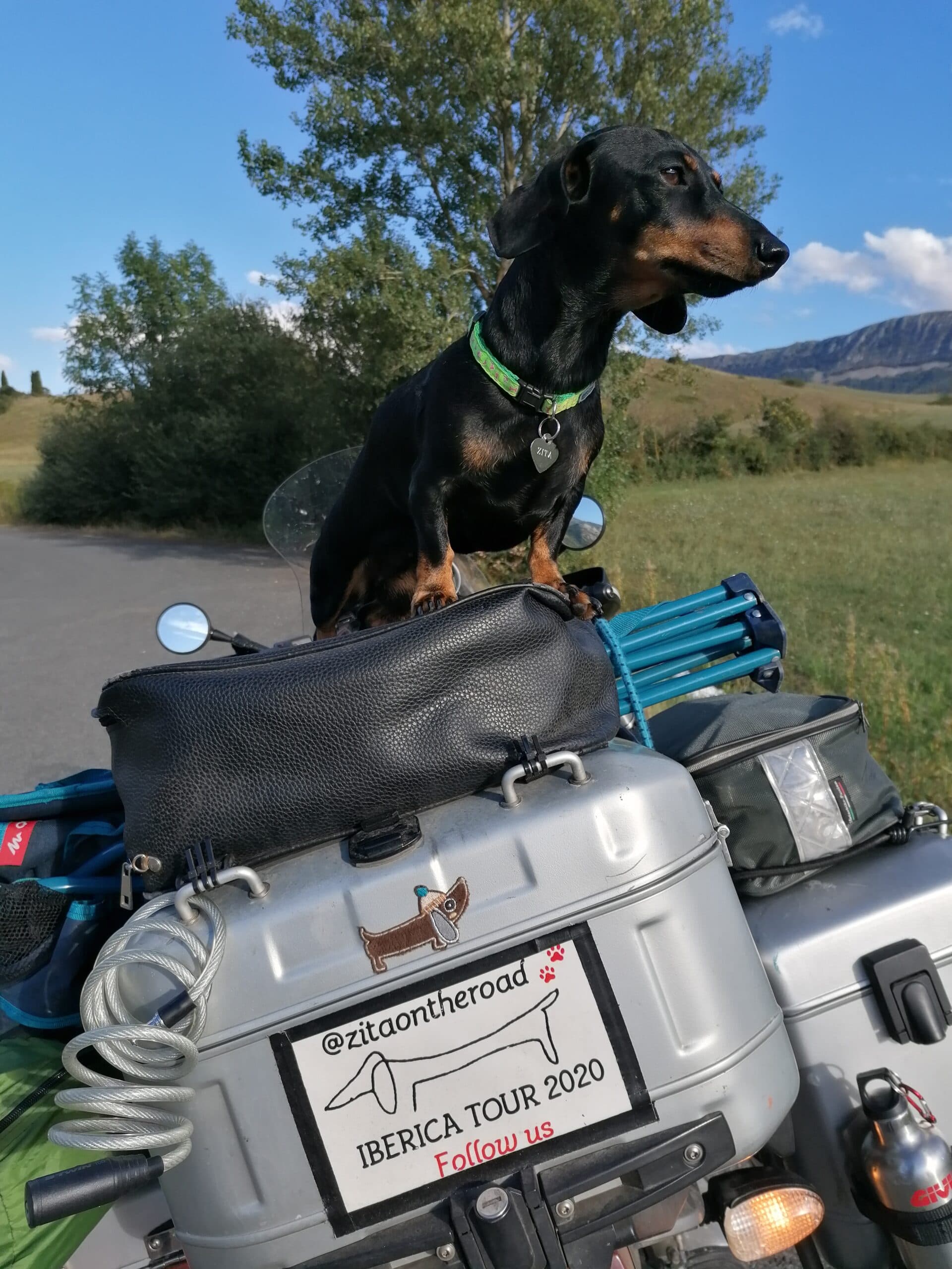 Formia, #Zitaontheroad: “Il mio cane viaggia con me!”