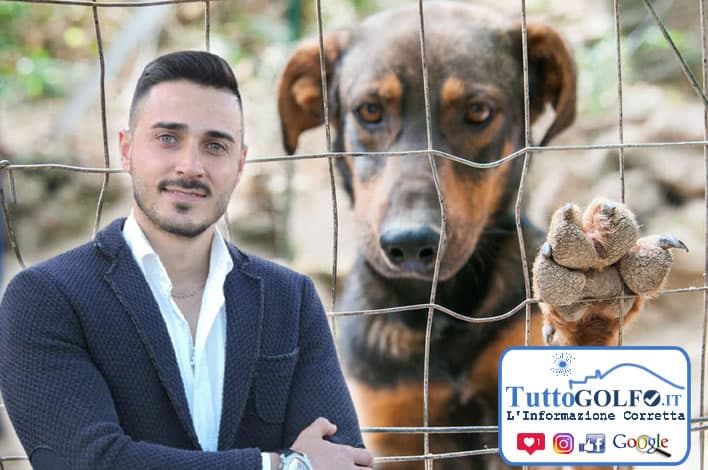 Monte San Biagio - Adozione cani: convenzione con l'Associazione Animalista ALFA