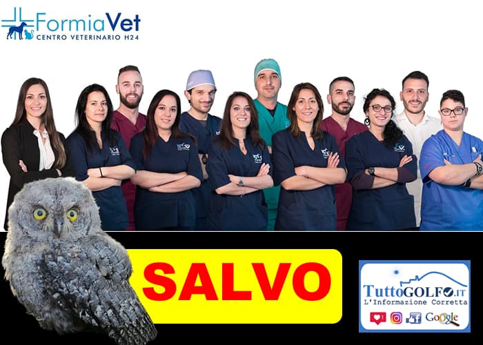 Gaeta, Formia - Rapace in difficoltà rimesso in libertà grazie ai carabinieri e agli operatori della clinica veterinaria FormiaVet
