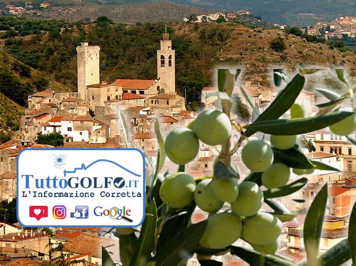 Castelforte - L' Olio delle Colline