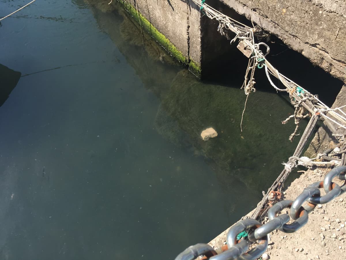 Formia, sversamenti fognari alla Torre di Mola