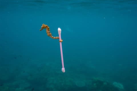 A Gaeta un incontro dedicato alla divulgazione scientifica, alla tutela del Mediterraneo e alla ricerca sulle microplastiche