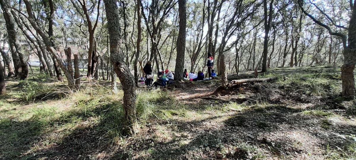 Monte San Biagio, 6 milioni di euro per il recupero e difesa delle querce