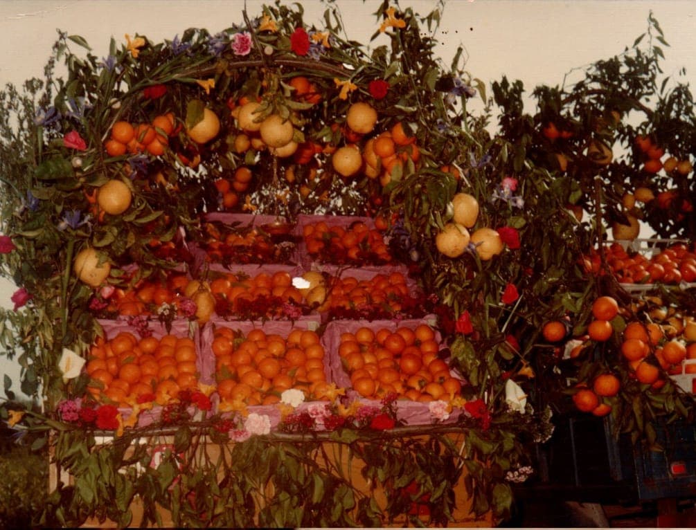 Castelforte: arancia rossa di Suio riconosciuta tra i prodotti agroalimentari tradizionali PAT