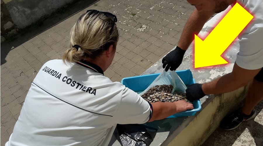 Gaeta, Formia e Minturno: il risultato dei controlli dei Militari del Mare
