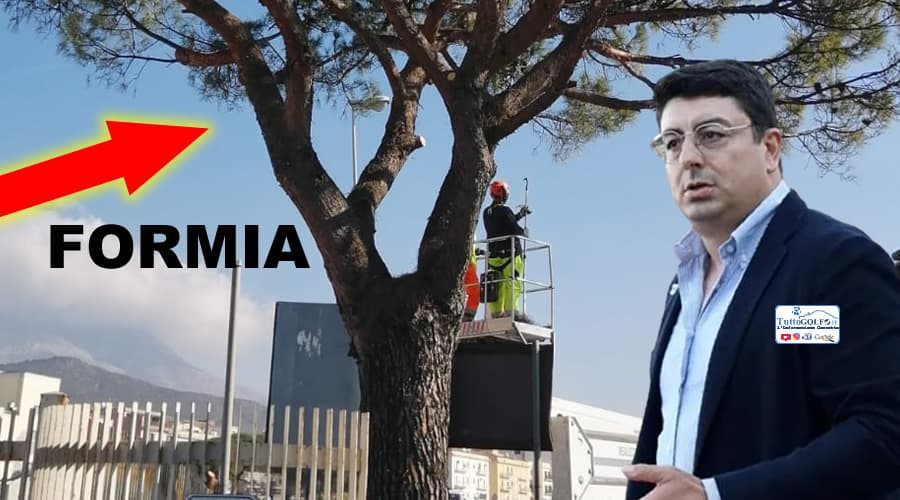 Continuano gli interventi di potatura dei Pini a Formia