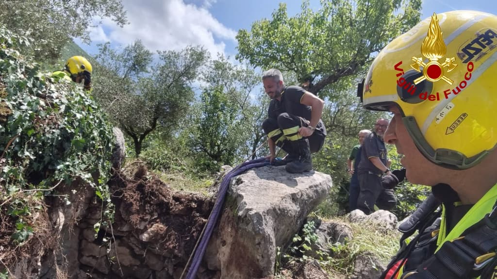 Lenola: i vigili del fuoco salvano un cavallo caduto in un burrone in località Ambrifi