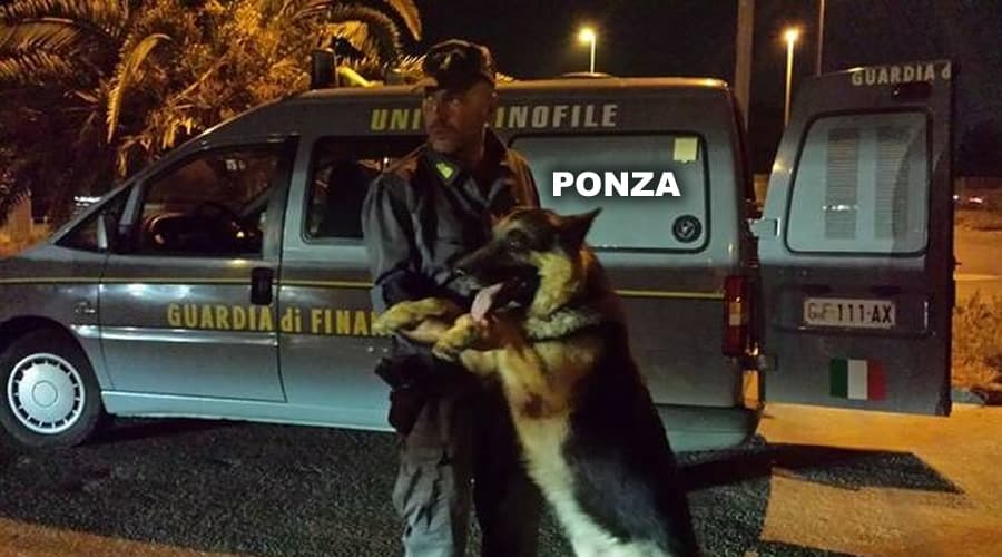 Ponza e Ventotene, controlli della Guardia di Finanza: 15 segnalati per droga, quattro lavoratori irregolari e 95 sanzioni in mare