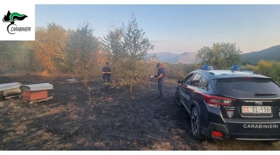 Incendio colposo: denunciata una persona. Ha bruciato un uliveto