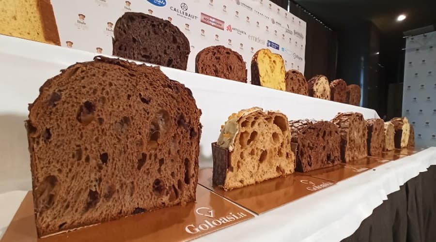 Mastro Panettone, il miglior panettone e pandoro d'Italia: sul podio aziende della Campania e del Lazio. I vincitori