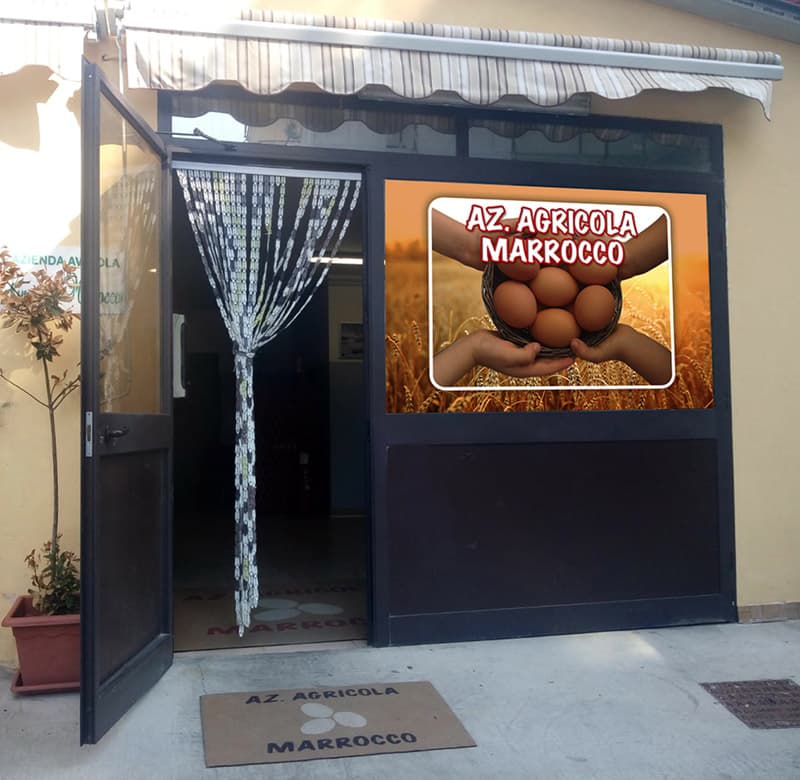 L’Azienda Agricola Marrocco - qualità e professionalità al primo posto