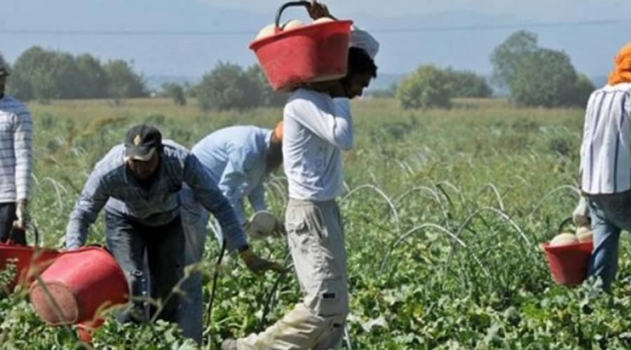 Diffuse forme di sfruttamento del lavoro in provincia di Latina. Il risultato dei controlli della Polizia di Stato