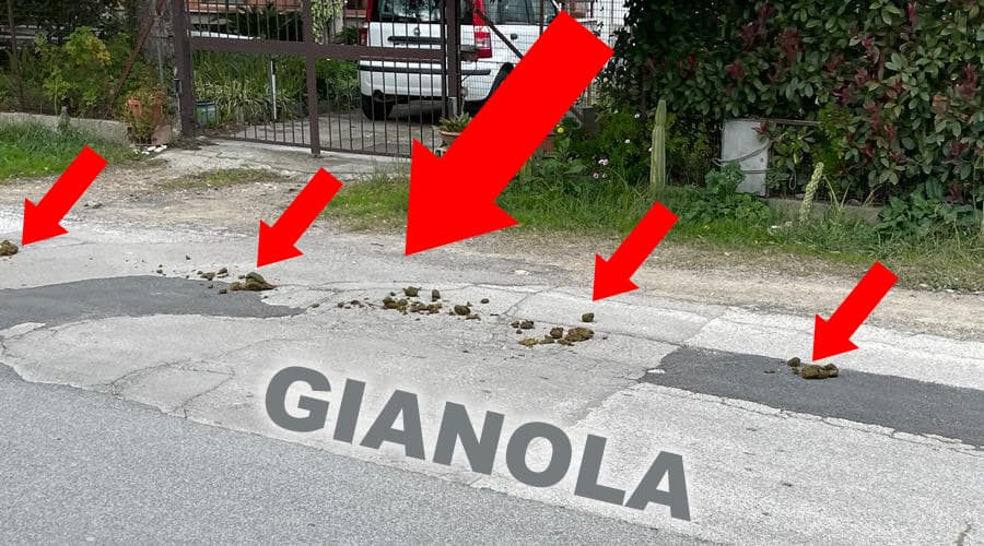 Formia: letame equino tra le vie principali di Gianola. La foto denuncia