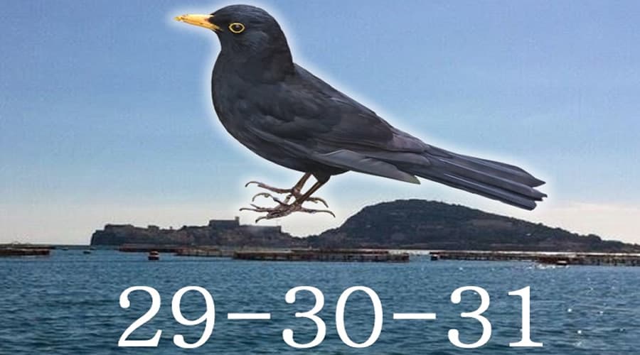 A breve i giorni della Merla. Secondo la leggenda le temperature di quei giorni incideranno sulla primavera