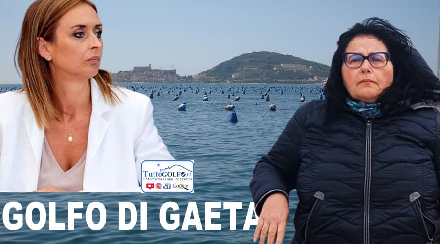 Paola Villa: Elena Palazzo delibera e il nostro Golfo muore