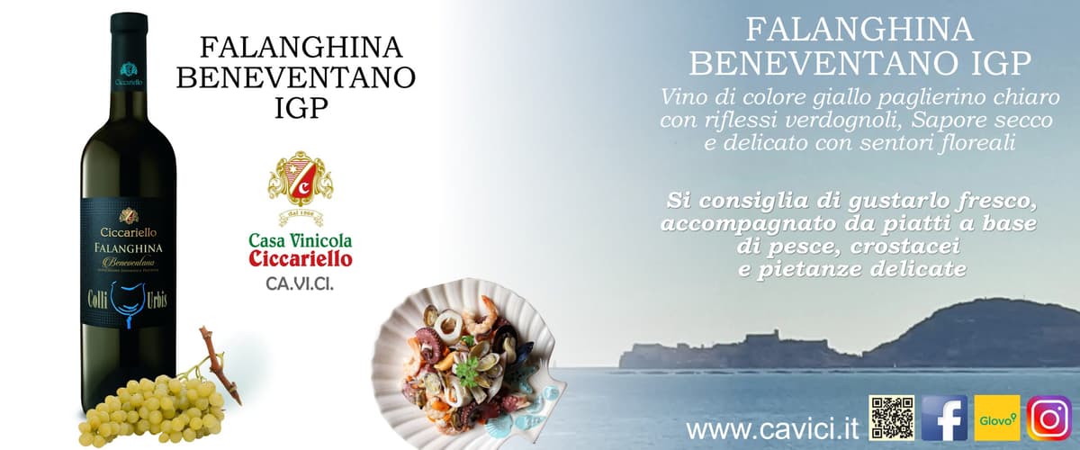 Falanghina Beneventano IGP CAVICI, sapore secco e delicato con sentori floreali