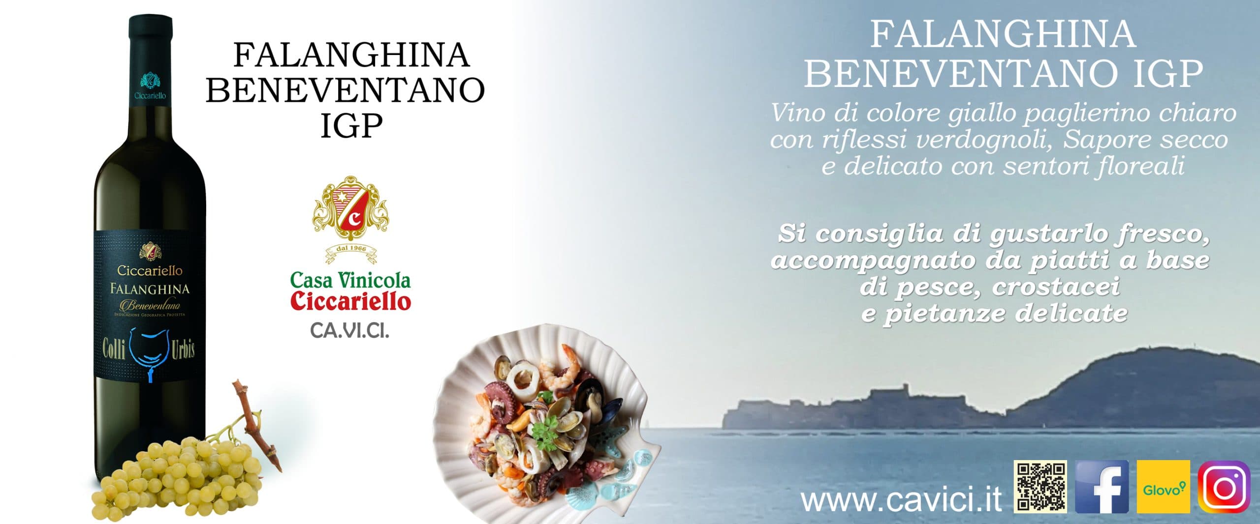Falanghina Beneventano IGP CAVICI, sapore secco e delicato con sentori floreali