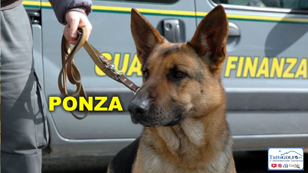 Ponza e Ventotene - Guardia di Finanza in azione