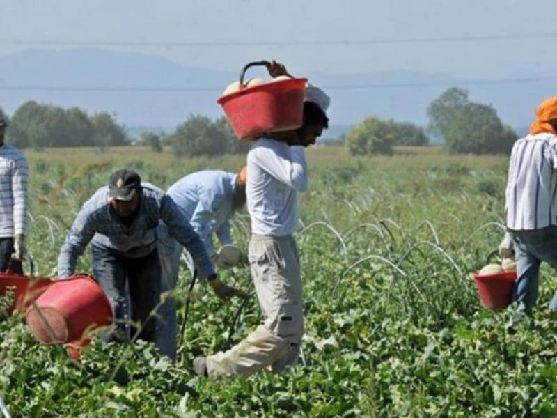 Lavoratori ombra che vivono tra di noi. Noi mangiamo la frutta e la verdura che loro raccolgono. Qualcuno ha una crisi di coscienza?