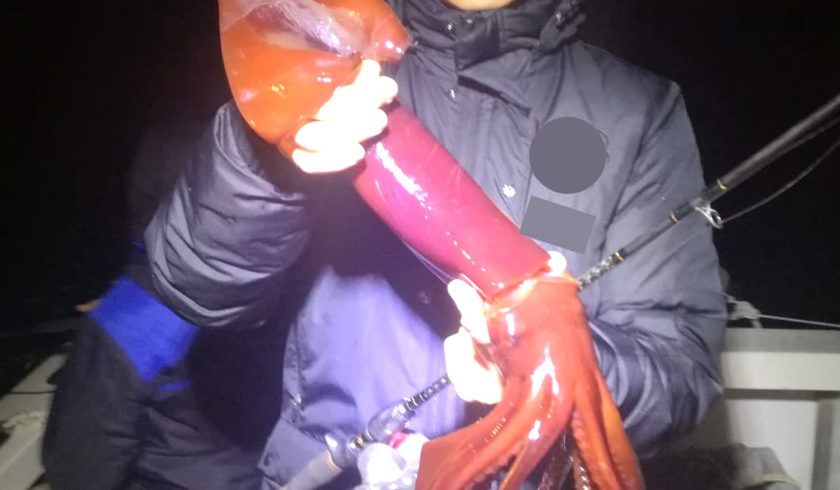 PONZA - PESCA ILLEGALE CON FONTI LUMINOSE: SANZIONE E SEQUESTRO