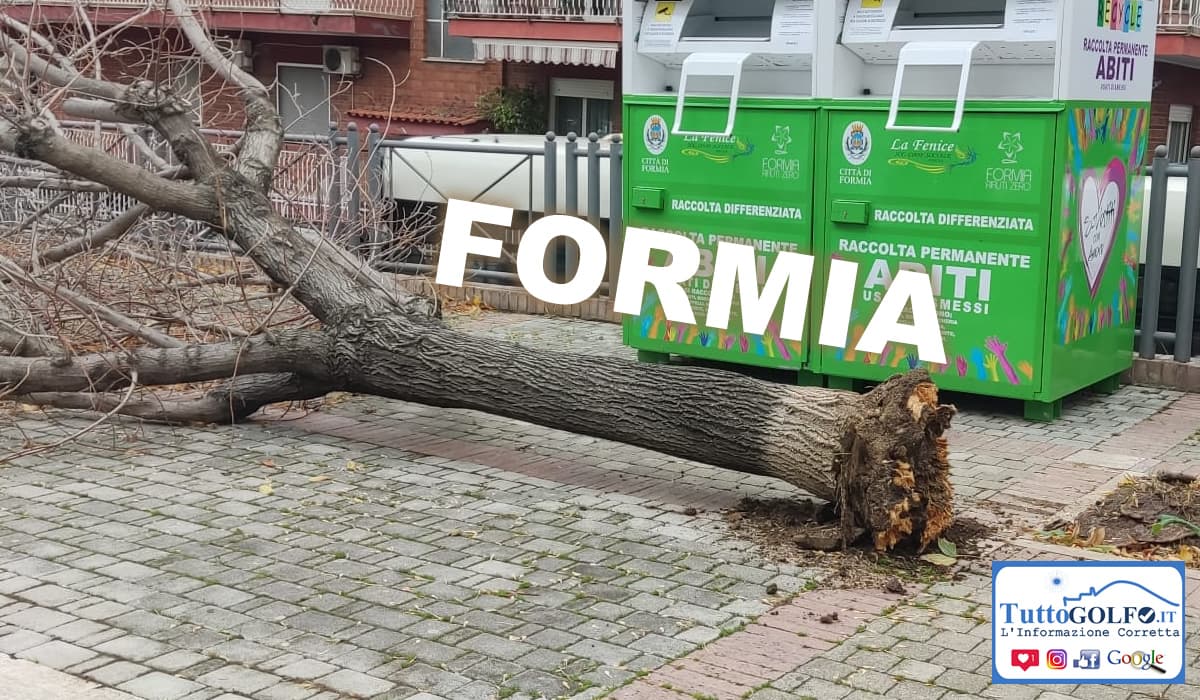 Formia, albero si abbatte sul marciapiede in zona San Pietro