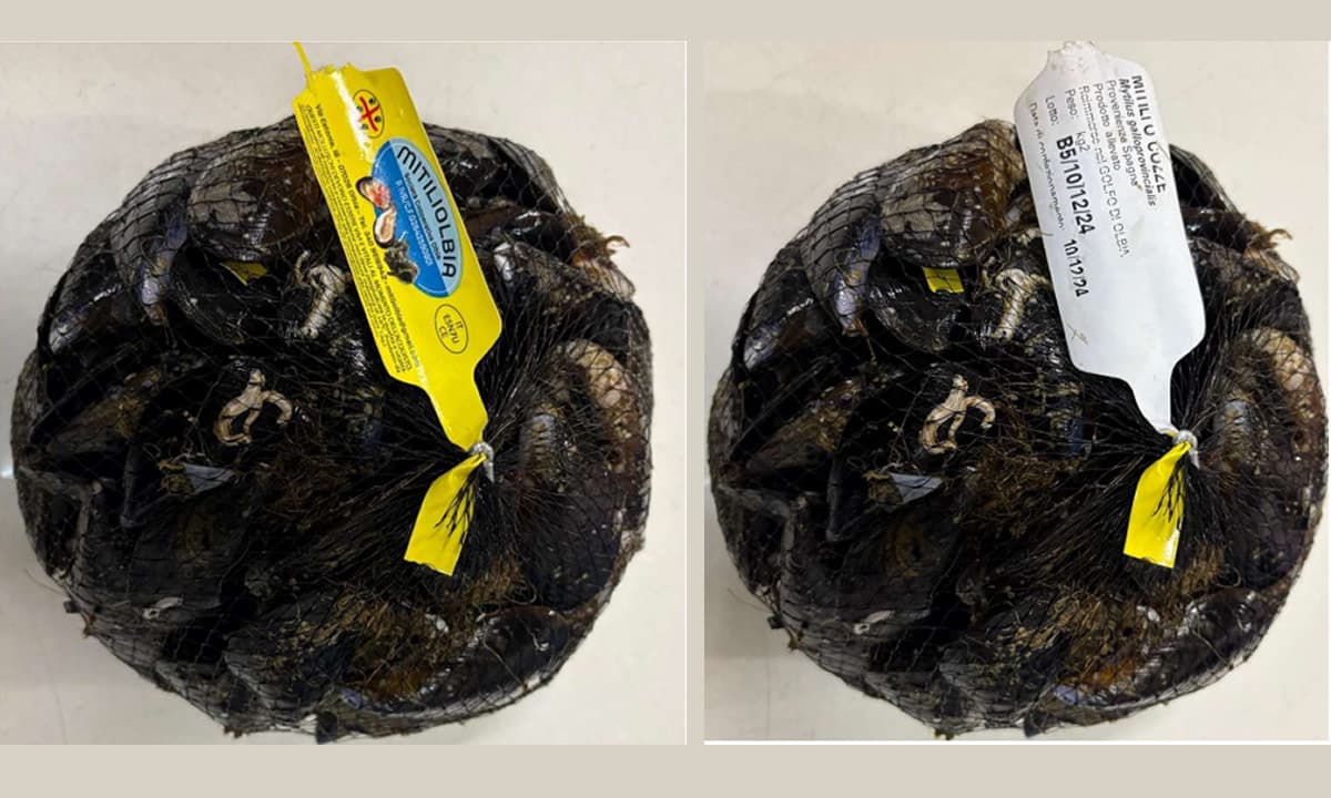 Cozze ritirate dal mercato per Escherichia coli oltre i limiti di legge. Il richiamo dal Ministero della Salute