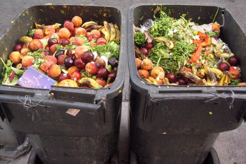 132 kg di cibo sprecato per abitante ogni anno. Il Golfo di Gaeta e la sfida allo spreco alimentare