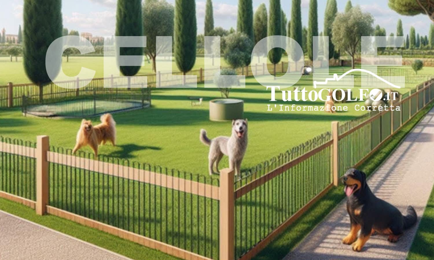 Cellole, in arrivo la Dog Area: un nuovo spazio per i cittadini a quattro zampe
