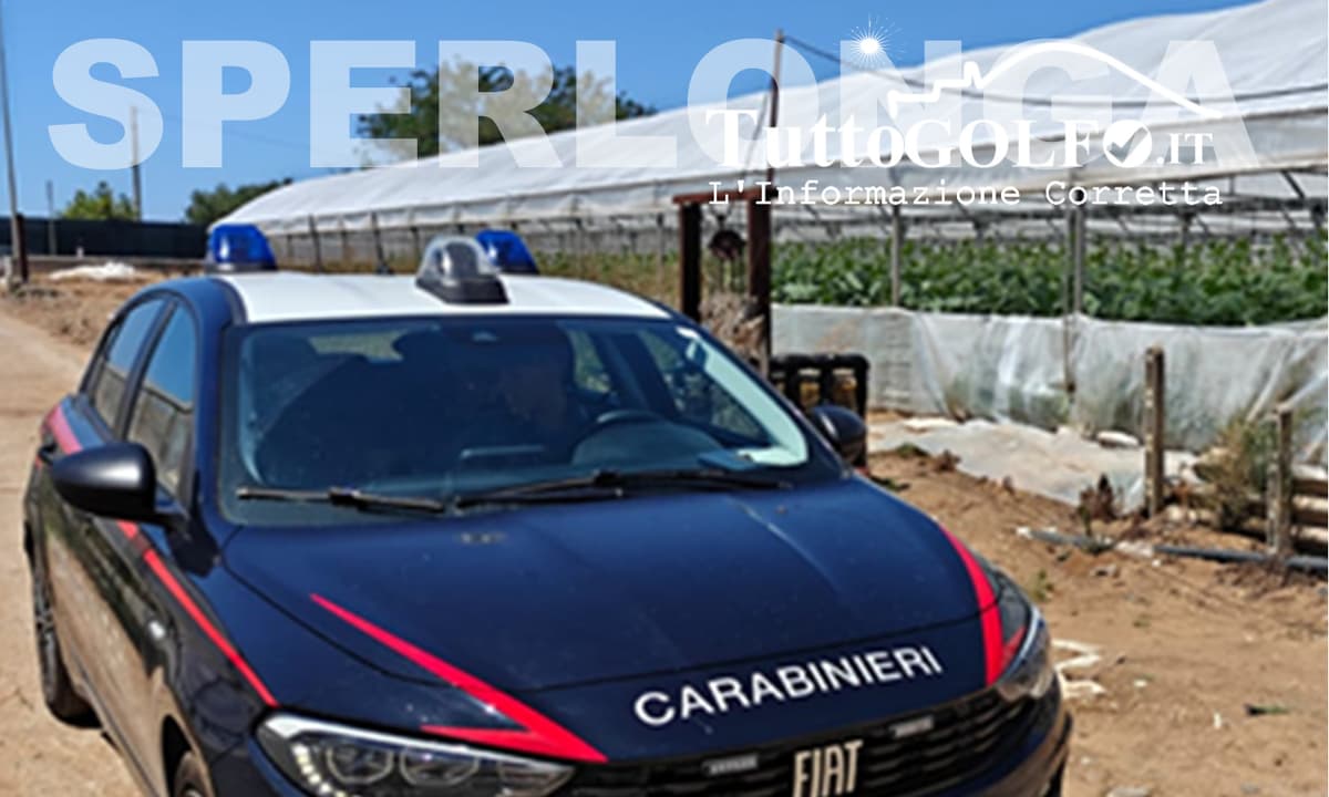 Sperlonga - Maxi sanzione per lavoro nero