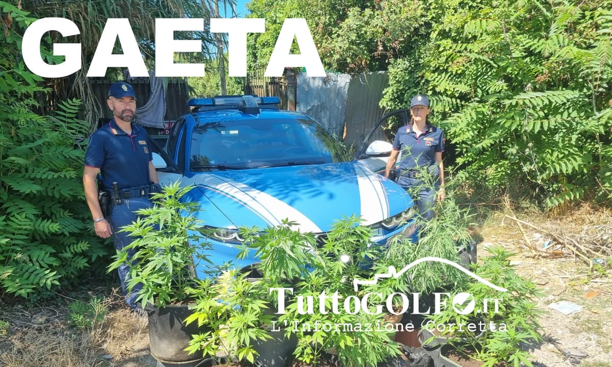 Gaeta - Scoperta una piantagione di marijuana. Due arresti