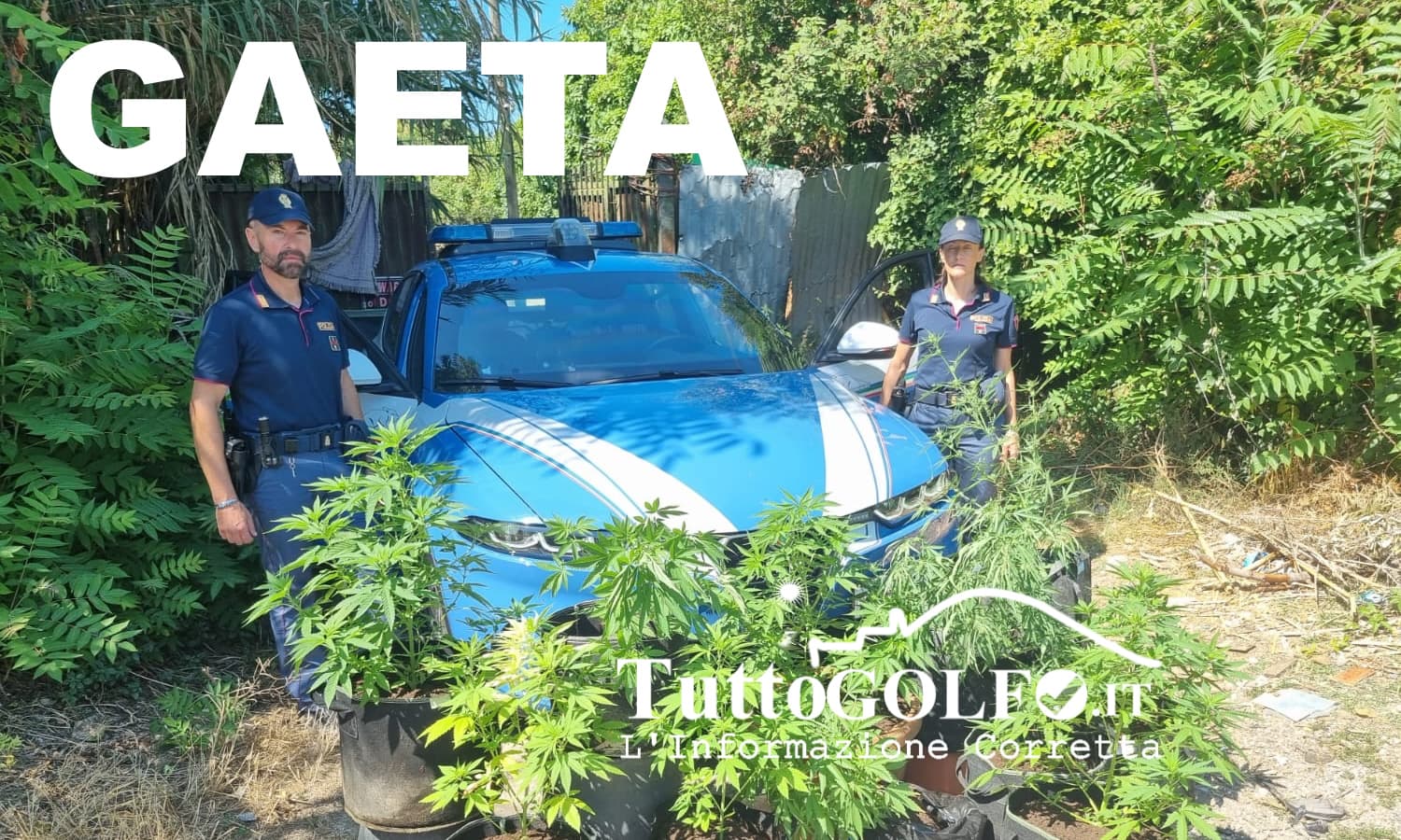 Gaeta - Scoperta una piantagione di marijuana. Due arresti
